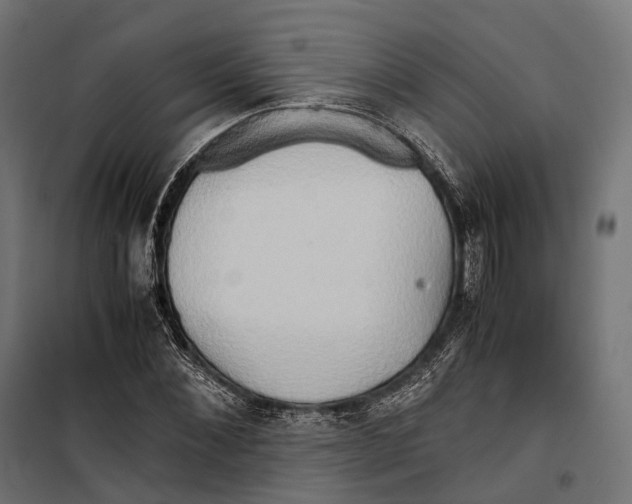 X0000099990876200806201447