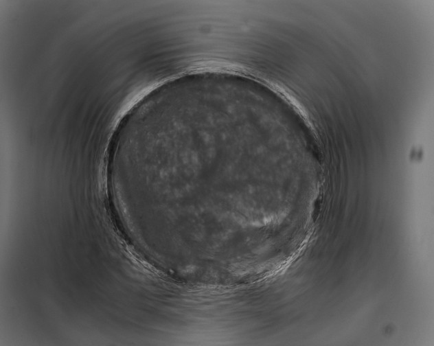 X0000099990877200806201447