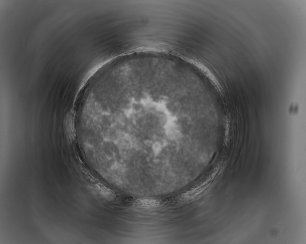 X0000099990878200806201447