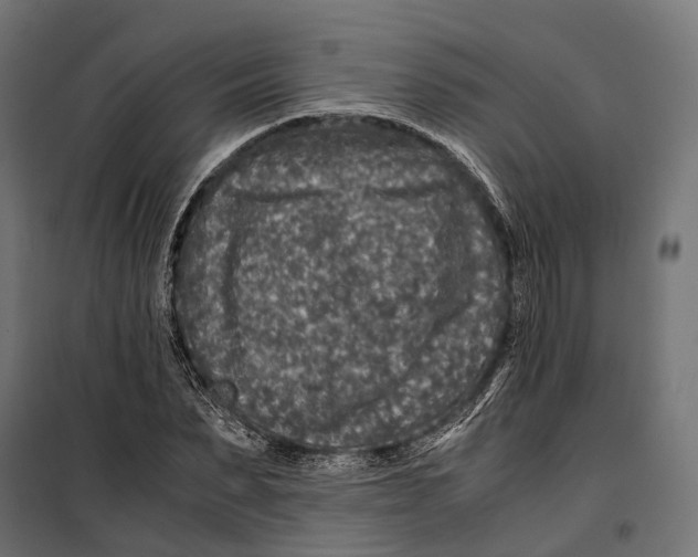 X0000099990879200806201447