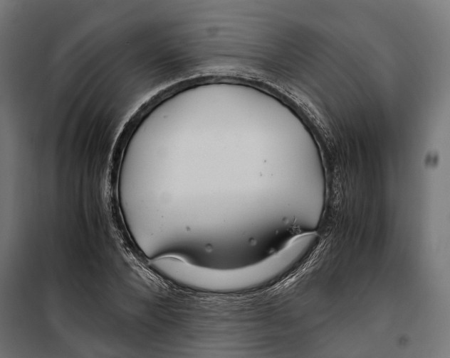 X0000099990880200806201447