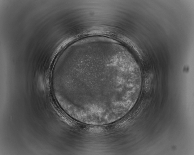 X0000099990882200806201447