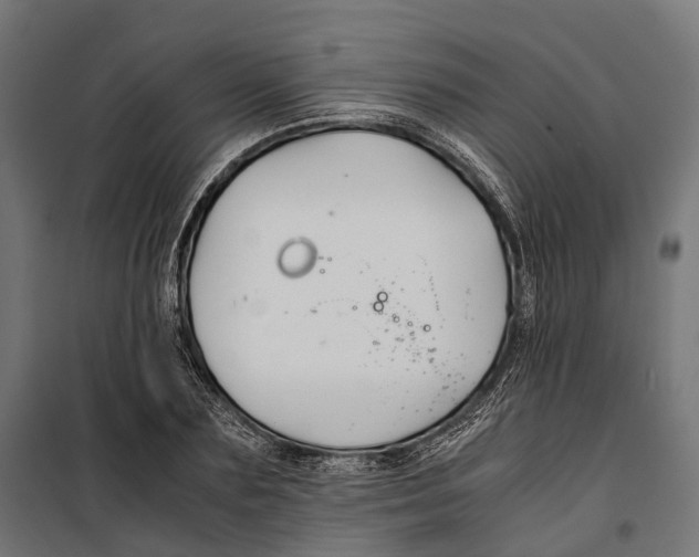 X0000099990883200806201447