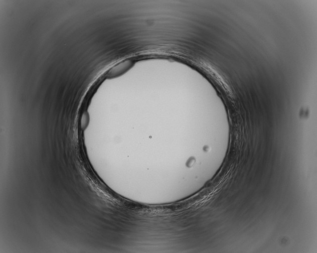 X0000099990884200806201447