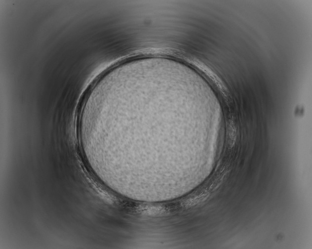 X0000099990886200806201446