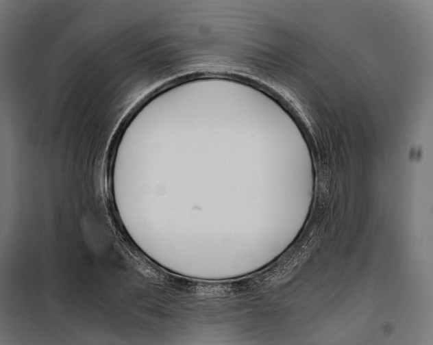 X0000099990887200806201446