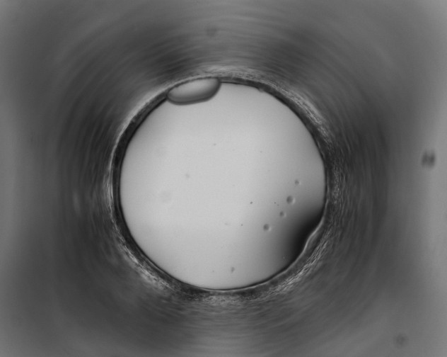 X0000099990888200806201446