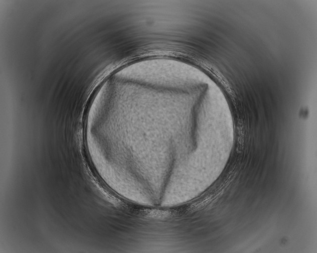 X0000099990890200806201446