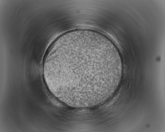 X0000099990891200806201446