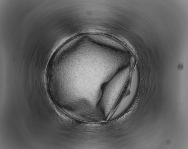 X0000099990893200806201446