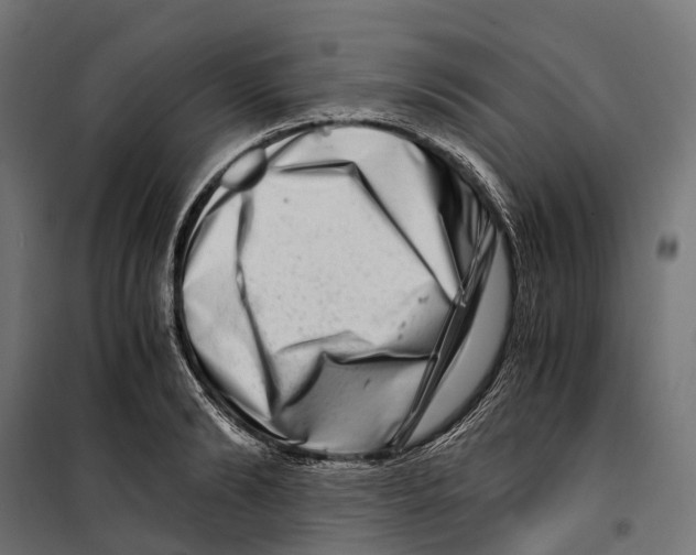 X0000099990894200806201446