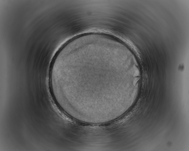 X0000099990896200806201446