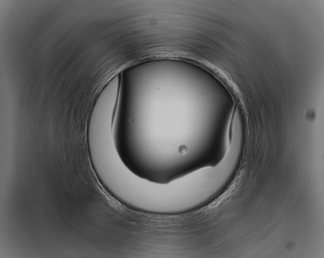 X0000099990897200806201446