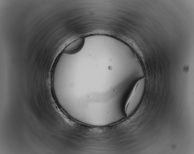 X0000099990898200806201446