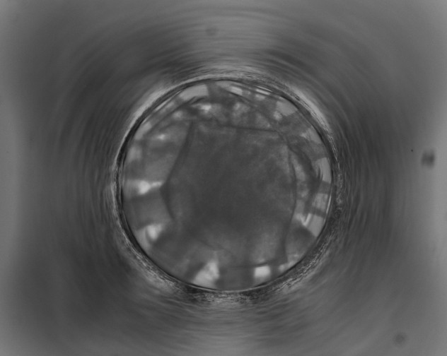 X0000099990899200806201446