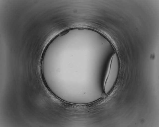 X0000099990901200806201446