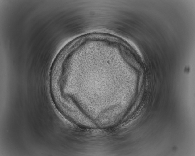 X0000099990903200806201446