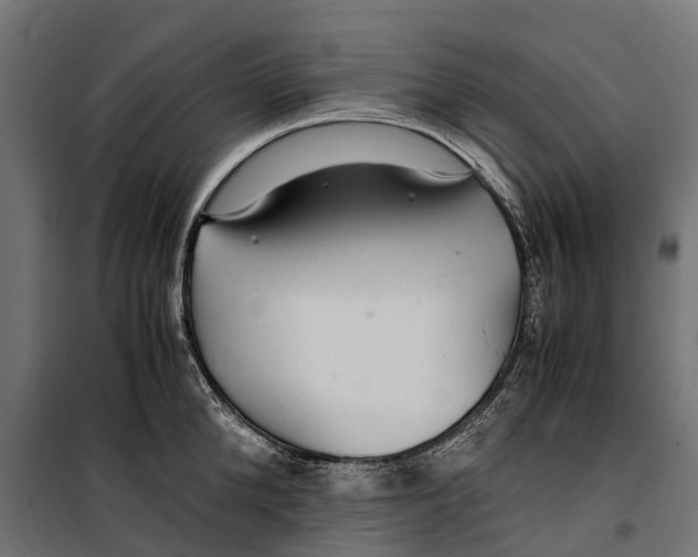 X0000099990904200806201446