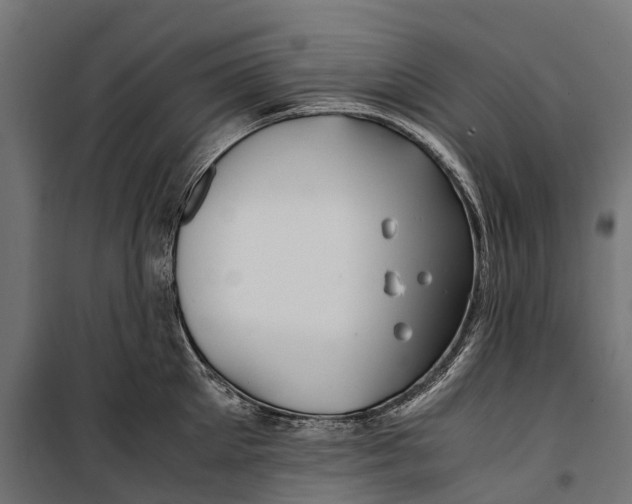 X0000099990905200806201446