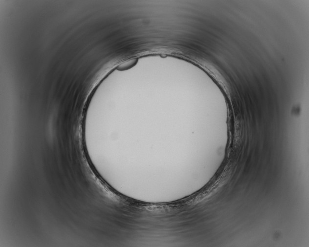 X0000099990906200806201446