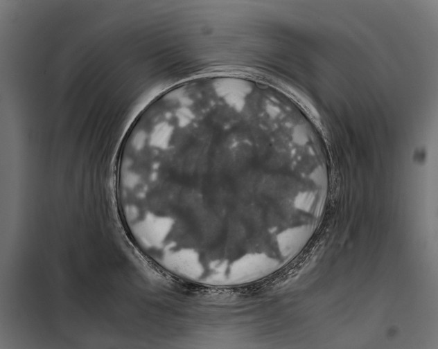 X0000099990907200806201446