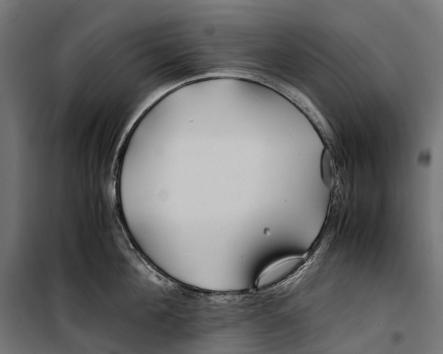 X0000099990908200806201446