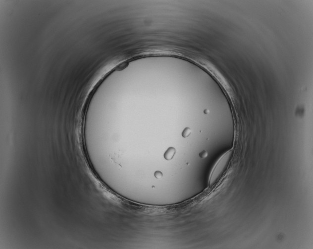 X0000099990909200806201446