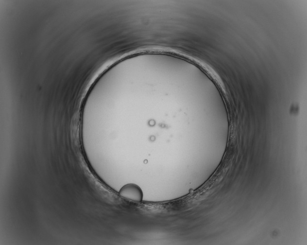 X0000099990911200806201446