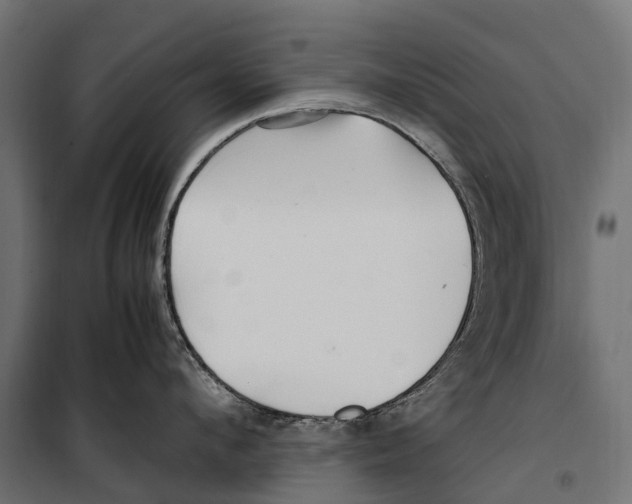 X0000099990912200806201446