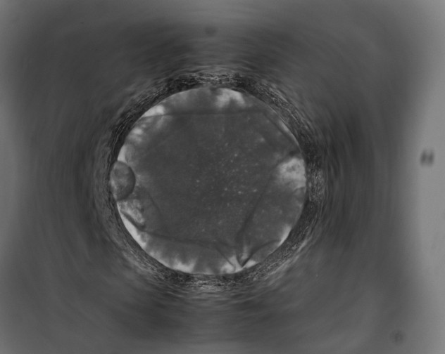 X0000099990913200806201445