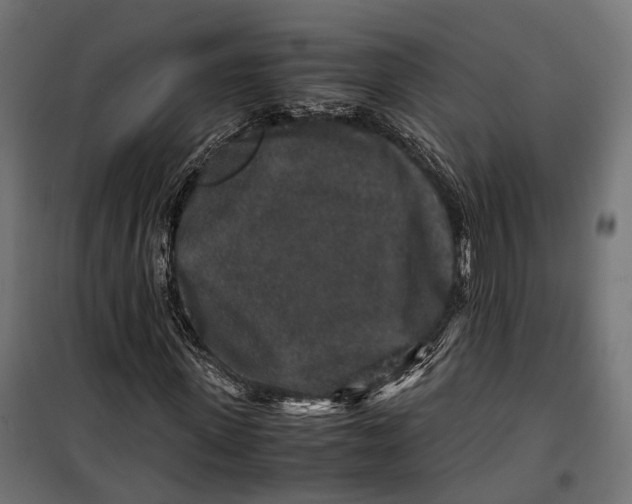 X0000099990915200806201445