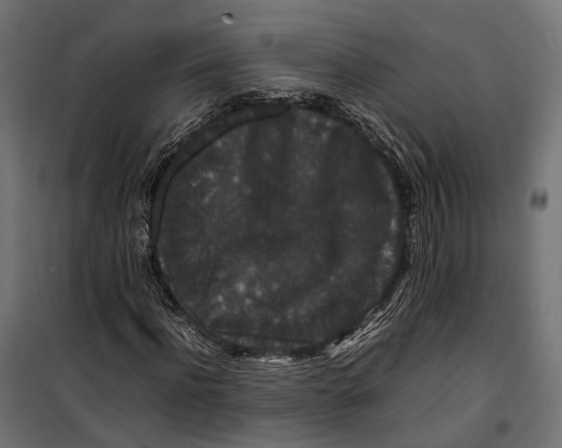 X0000099990916200806201445