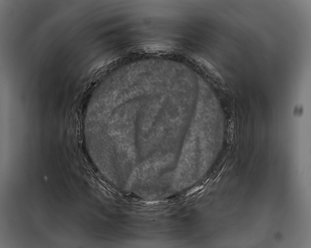 X0000099990917200806201445