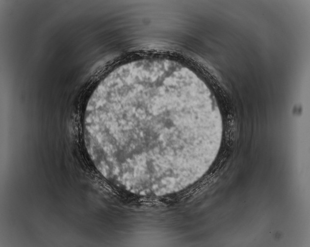 X0000099990918200806201445