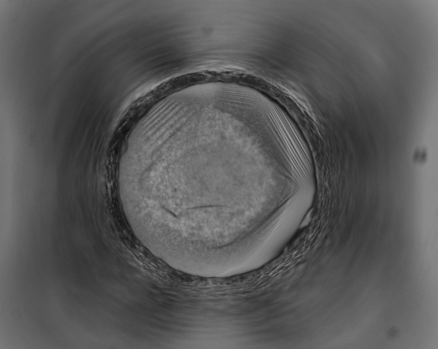 X0000099990920200806201445