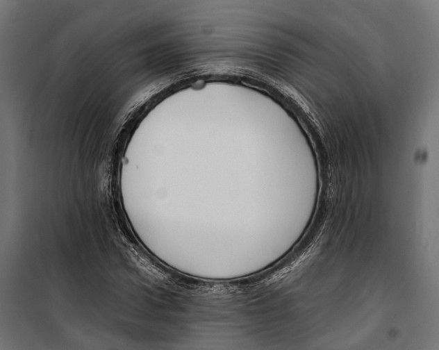 X0000099990922200806201445