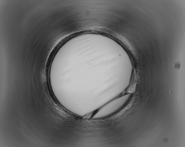 X0000099990924200806201445