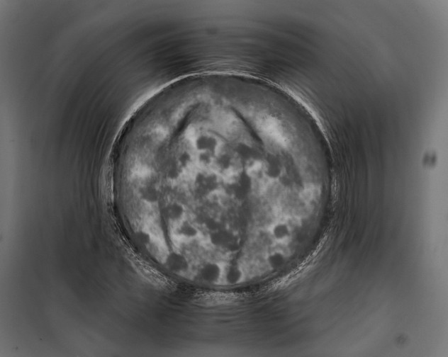 X0000099990925200806201445