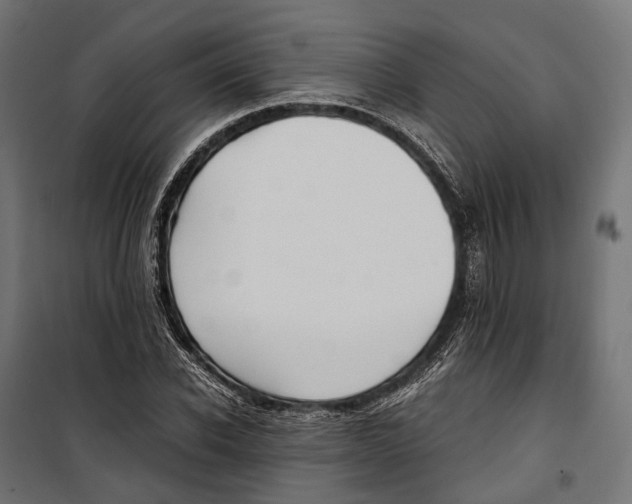 X0000099990926200806201445