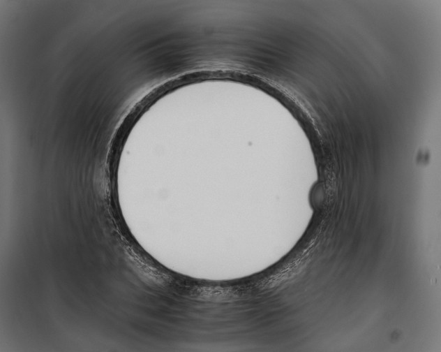 X0000099990927200806201445