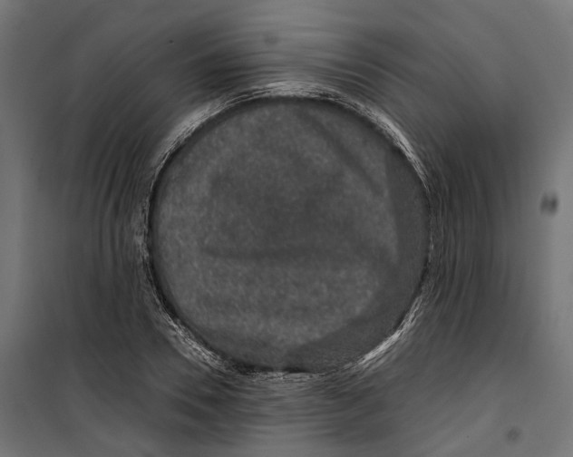 X0000099990930200806201445