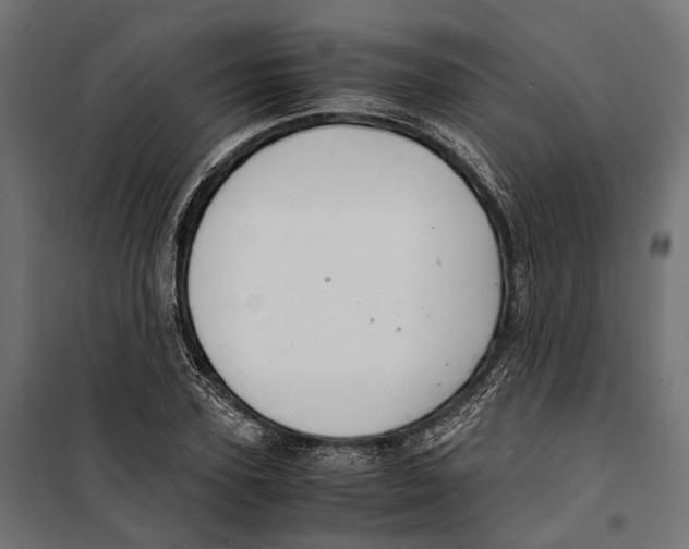 X0000099990931200806201445