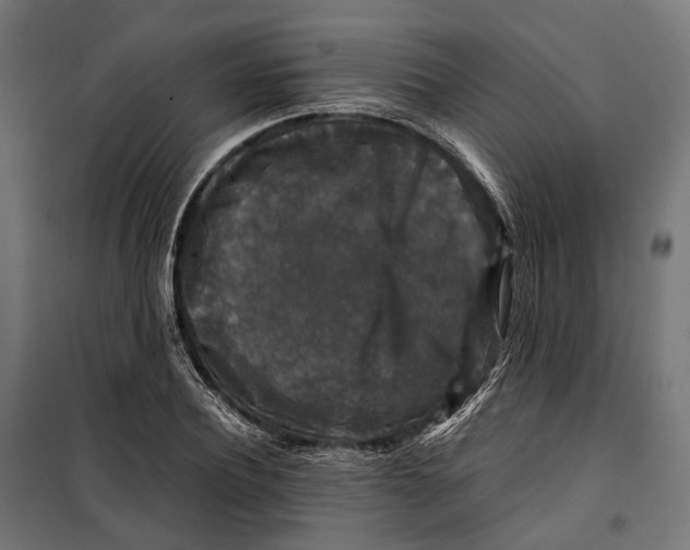 X0000099990932200806201445