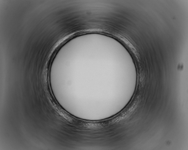 X0000099990933200806201445