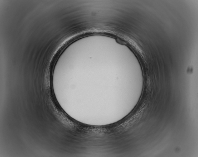 X0000099990934200806201445