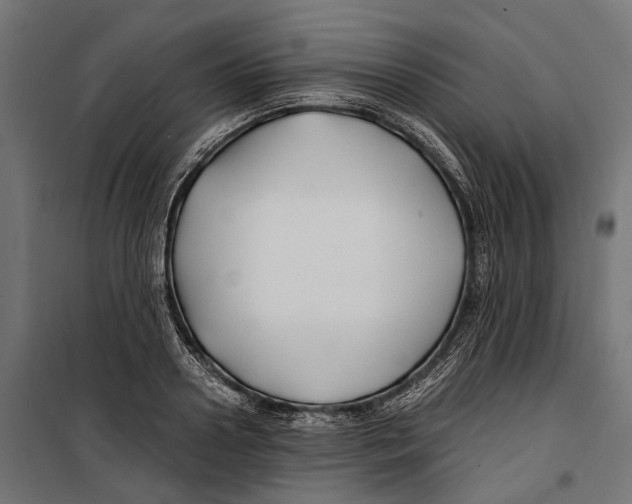 X0000099990938200806201445