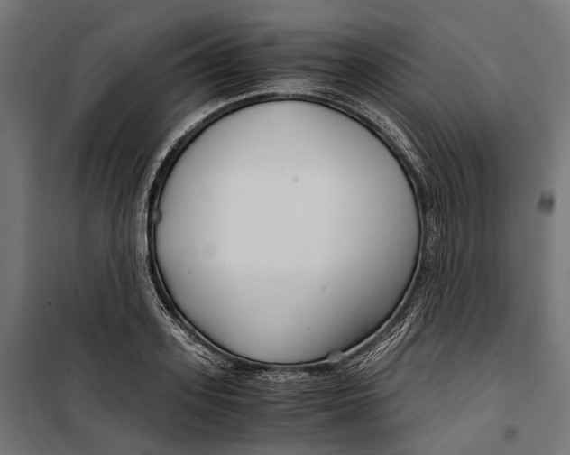 X0000099990939200806201445