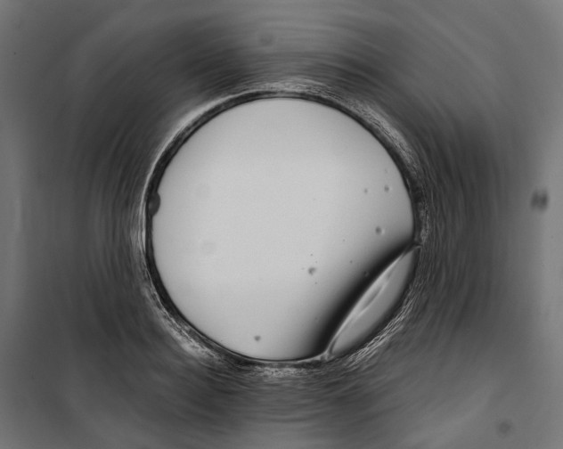 X0000099990940200806201445