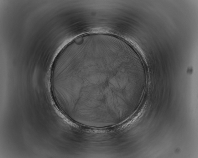 X0000099990941200806201446