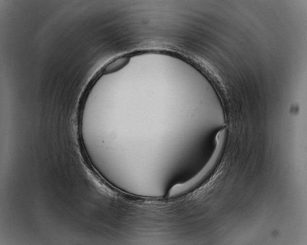 X0000099990942200806201446